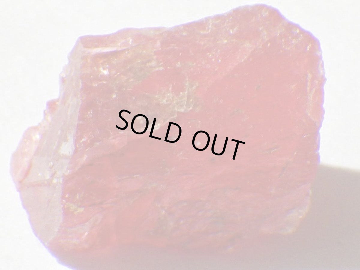 画像2: ブラジル産ロードナイトＥ (2)