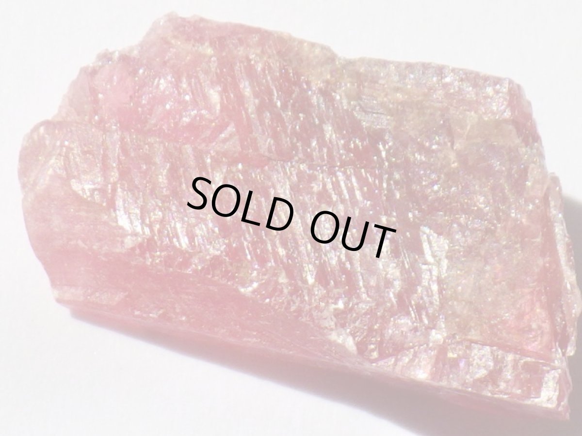 画像2: ブラジル産ロードナイトＨ (2)