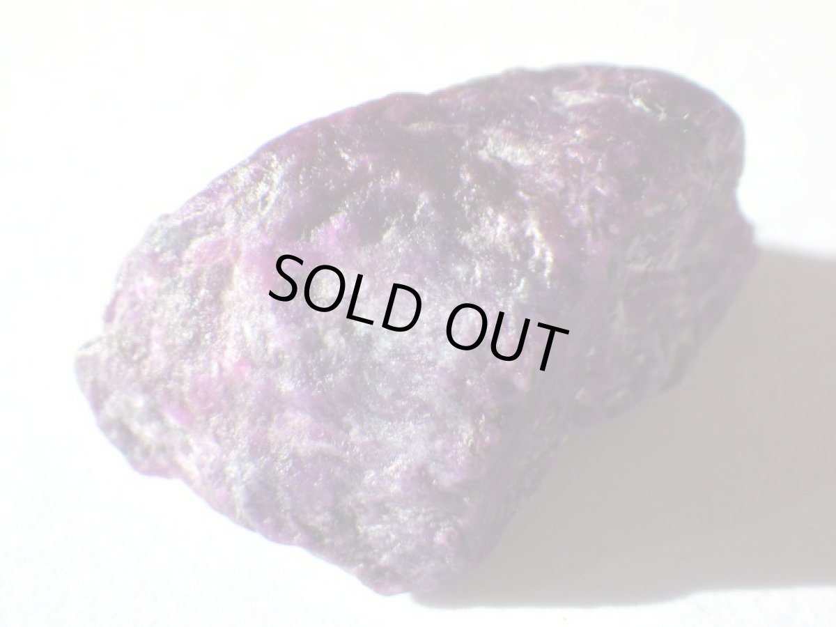 画像4: スギライトＣ (4)