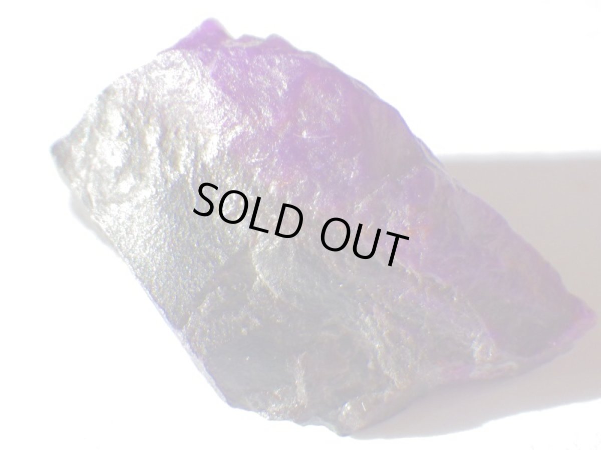 画像4: スギライトＥ (4)