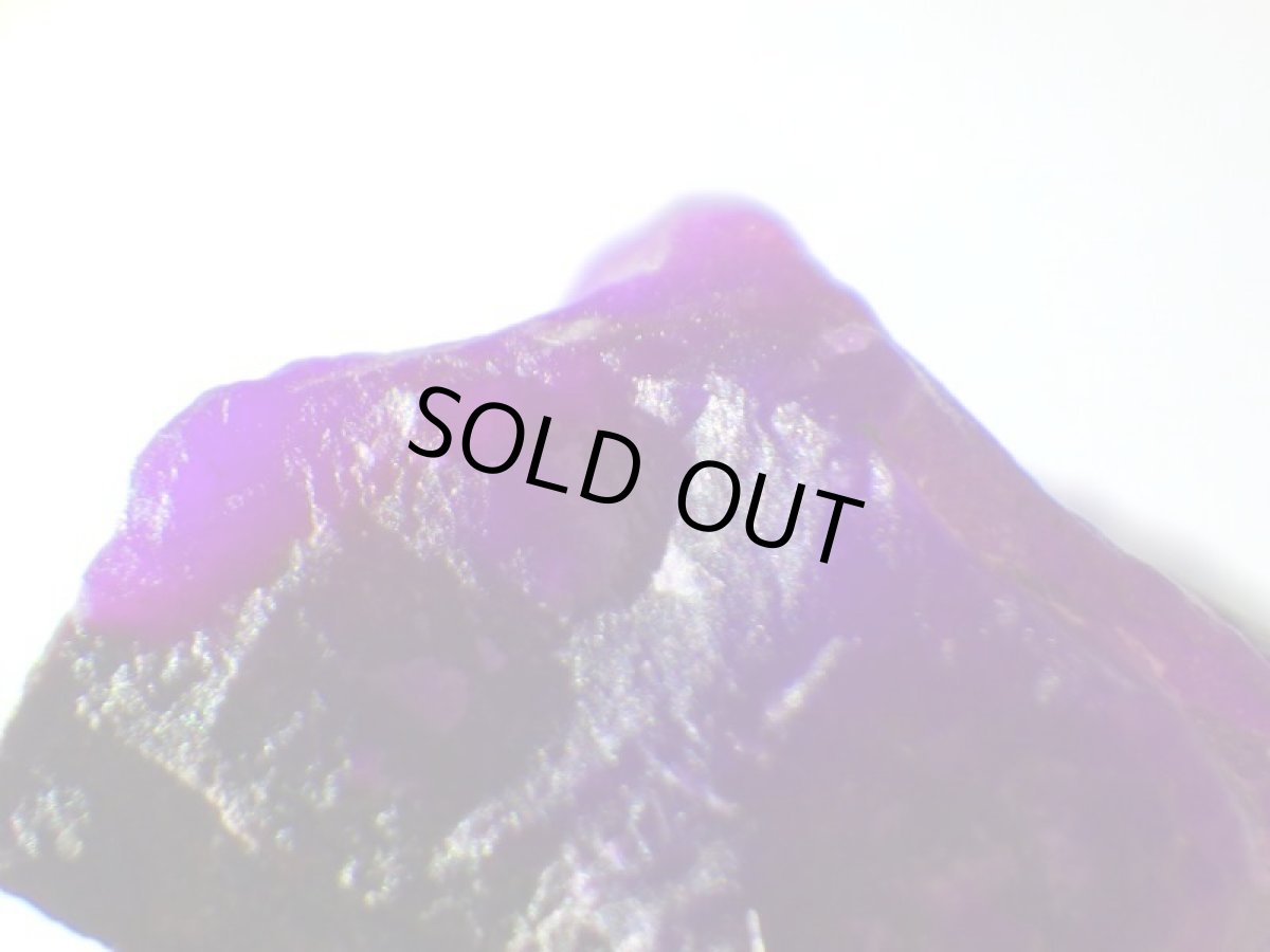 画像5: スギライトＥ (5)