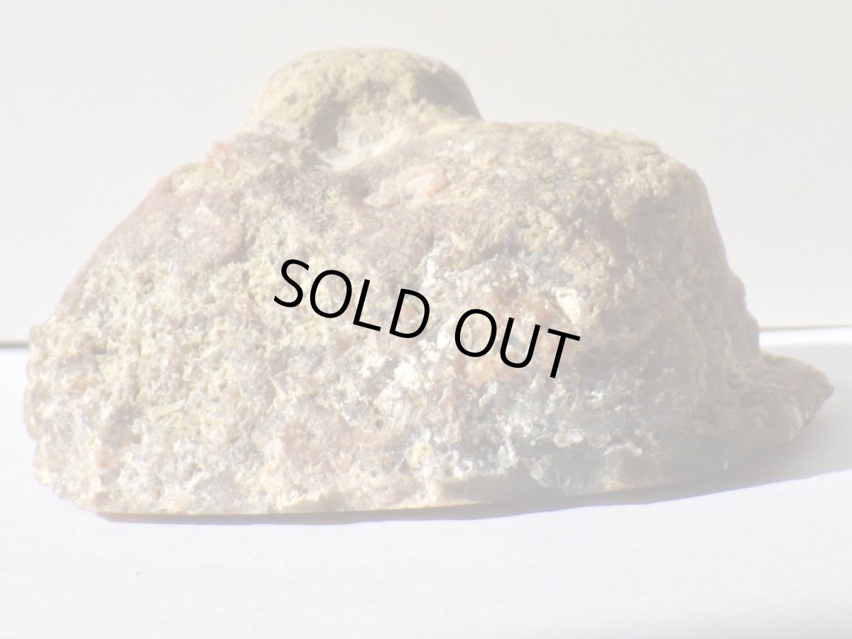 画像5: ラグナアゲートＡ (5)