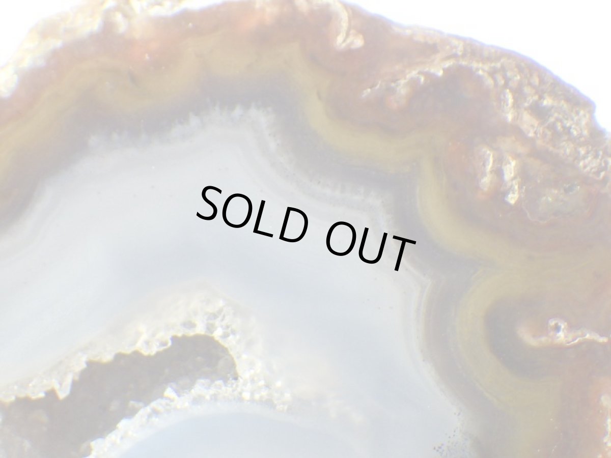 画像2: ラグナアゲートＡ (2)