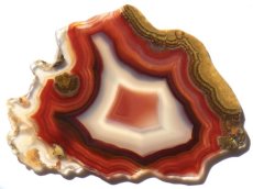 画像3: ラグナアゲートＤ (3)