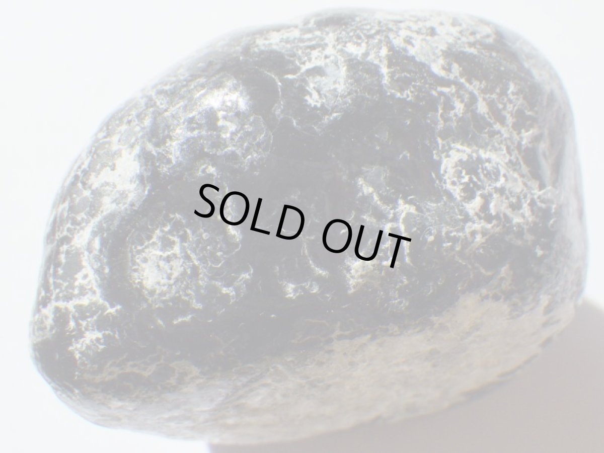 画像2: アパッチティアーＣ (2)