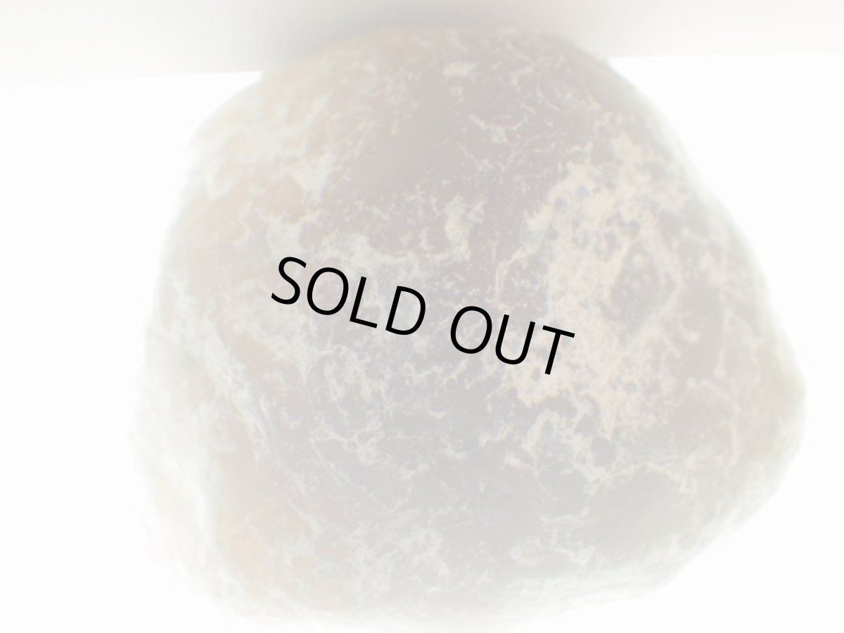 画像4: アパッチティアーＣ (4)