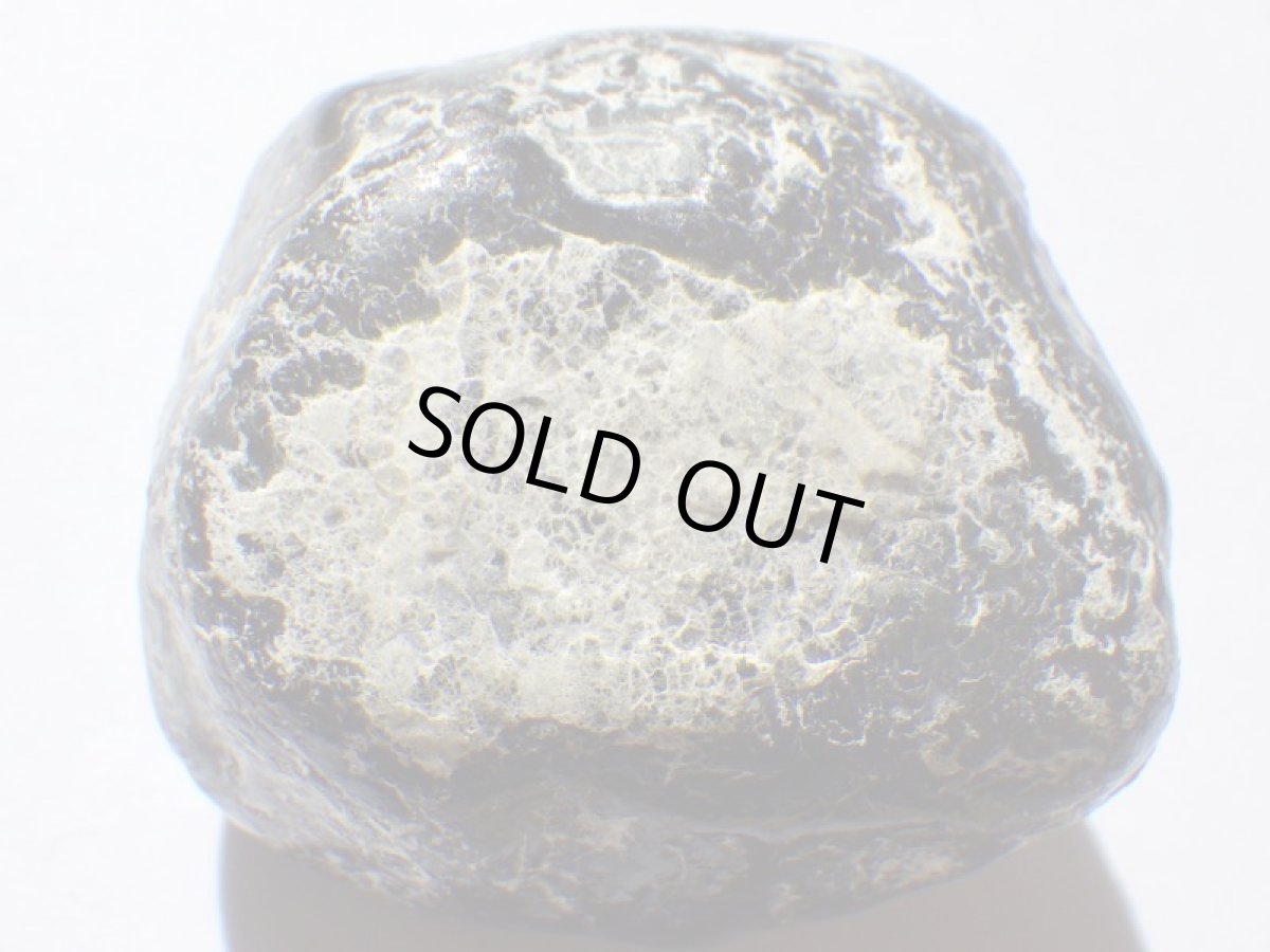 画像3: アパッチティアーＣ (3)