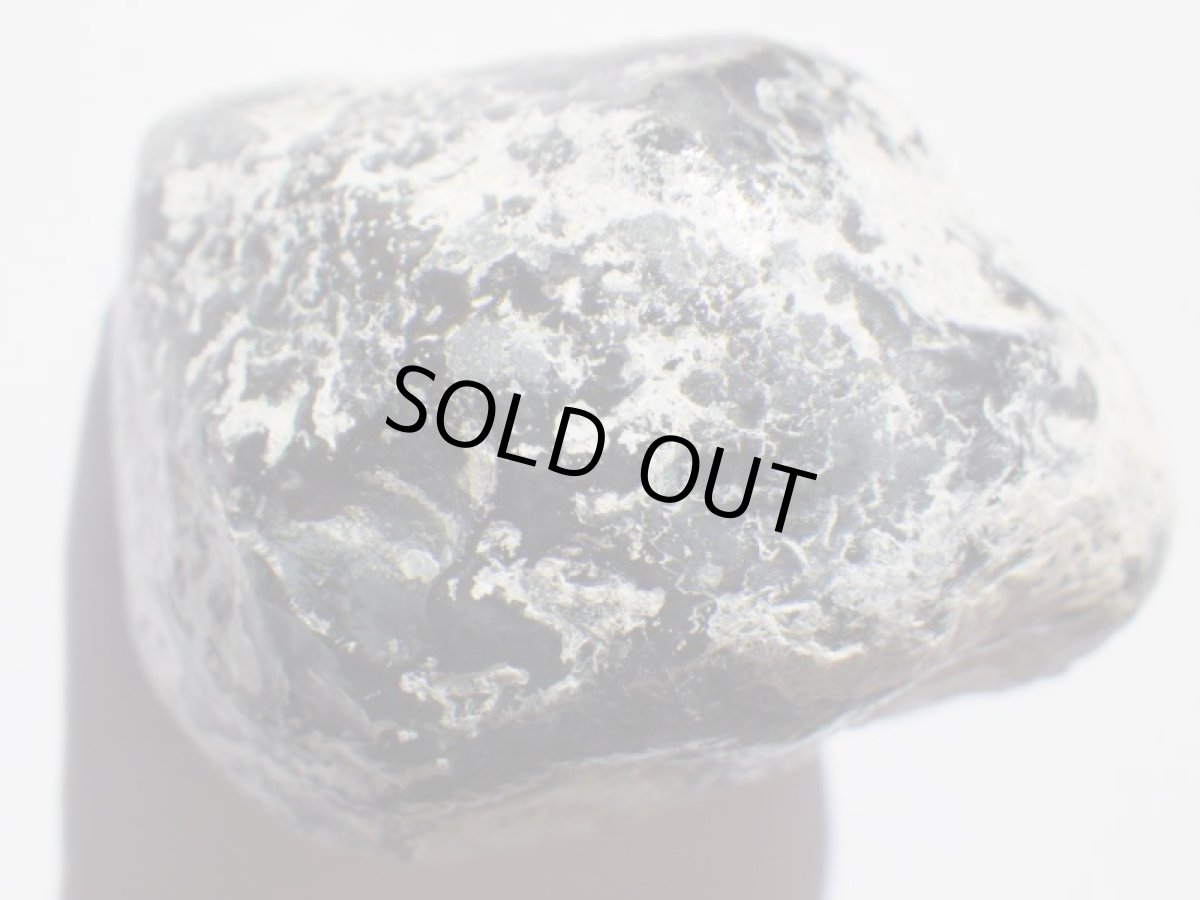 画像1: アパッチティアーＤ (1)