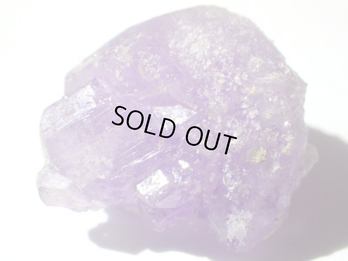 画像1: イタリア産コキンバイトＡ (1)