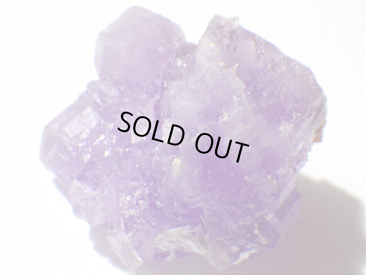 画像2: イタリア産コキンバイトＢ (2)