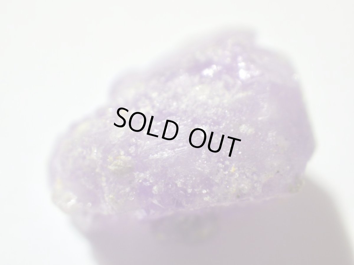 画像5: イタリア産コキンバイトＡ (5)