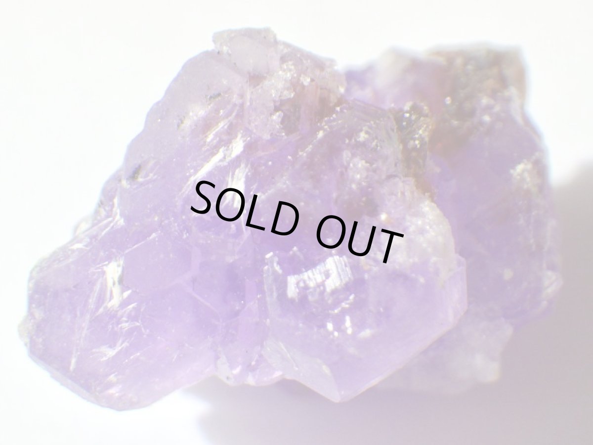 画像6: イタリア産コキンバイトＢ (6)