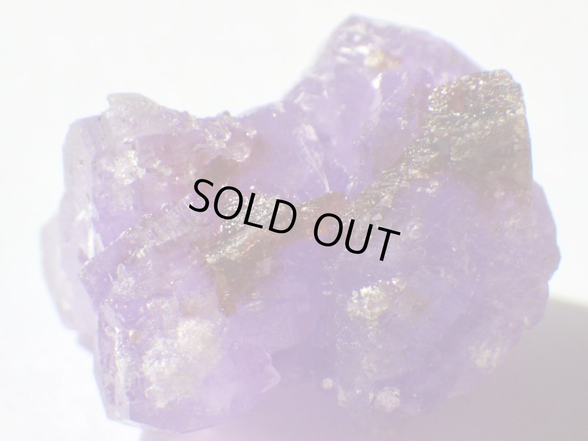 画像4: イタリア産コキンバイトＢ (4)