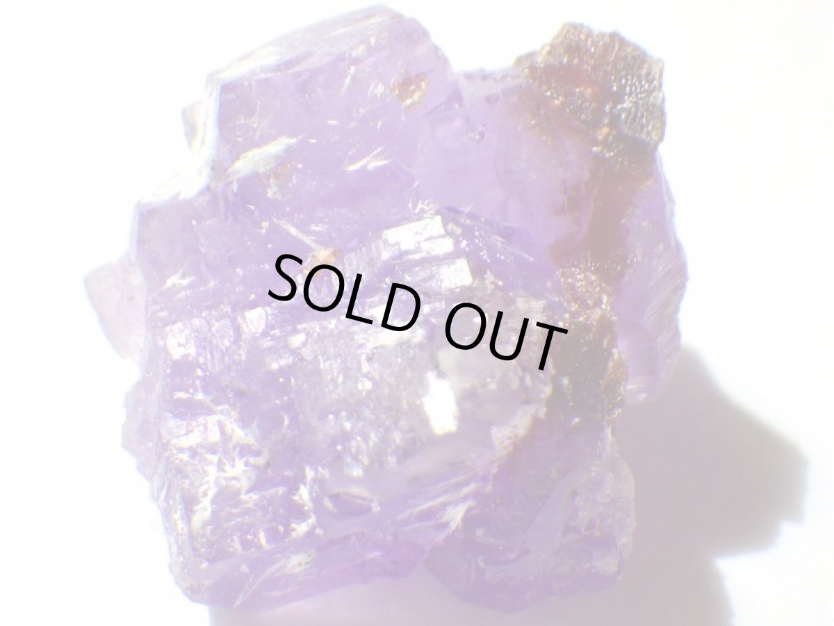 画像5: イタリア産コキンバイトＢ (5)