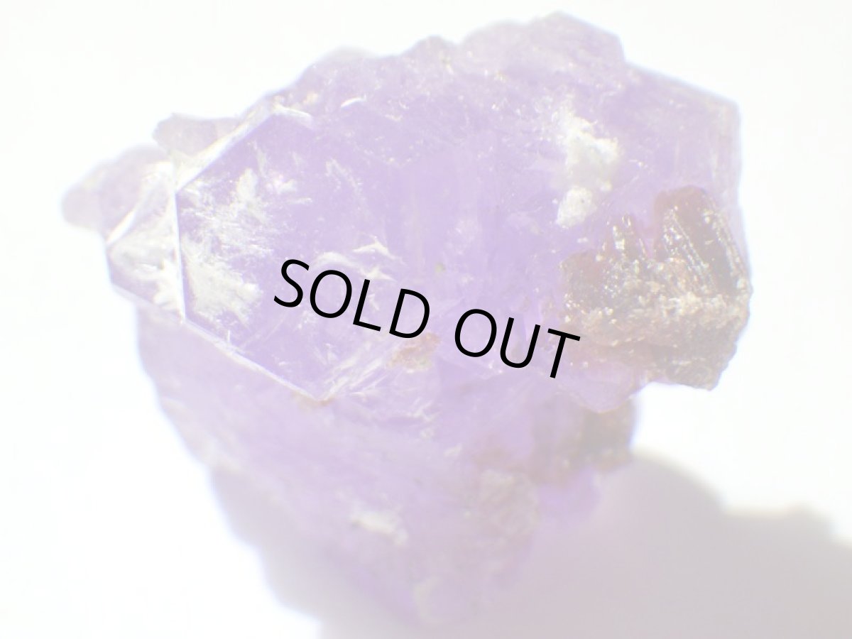 画像3: イタリア産コキンバイトＢ (3)