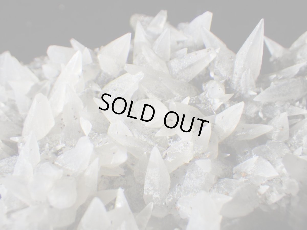 画像5: ブラジル産犬牙状カルサイトＣ (5)