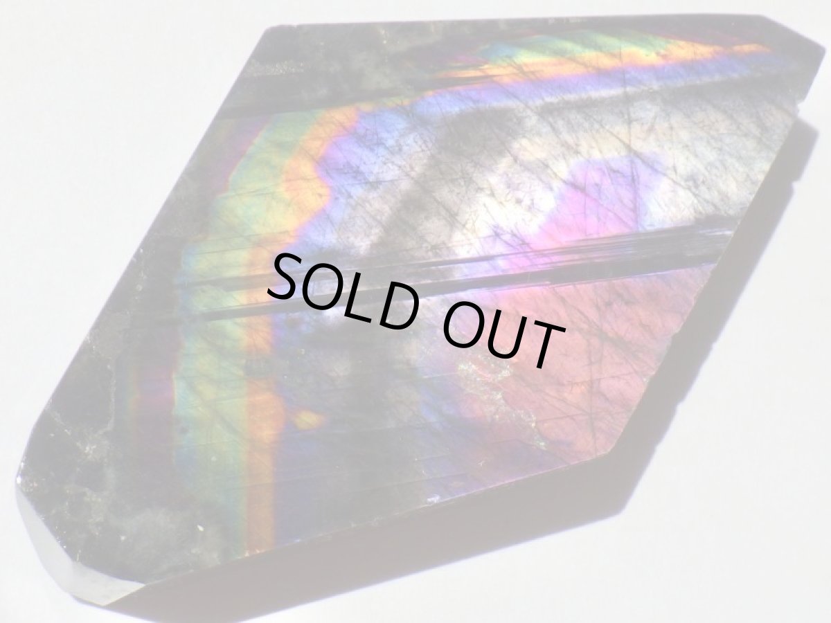 画像2: スペクトロライトＧ (2)