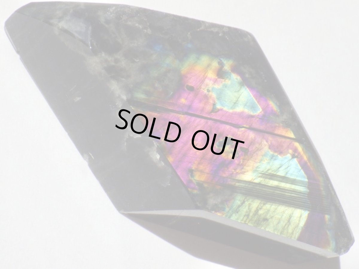 画像3: スペクトロライトＧ (3)