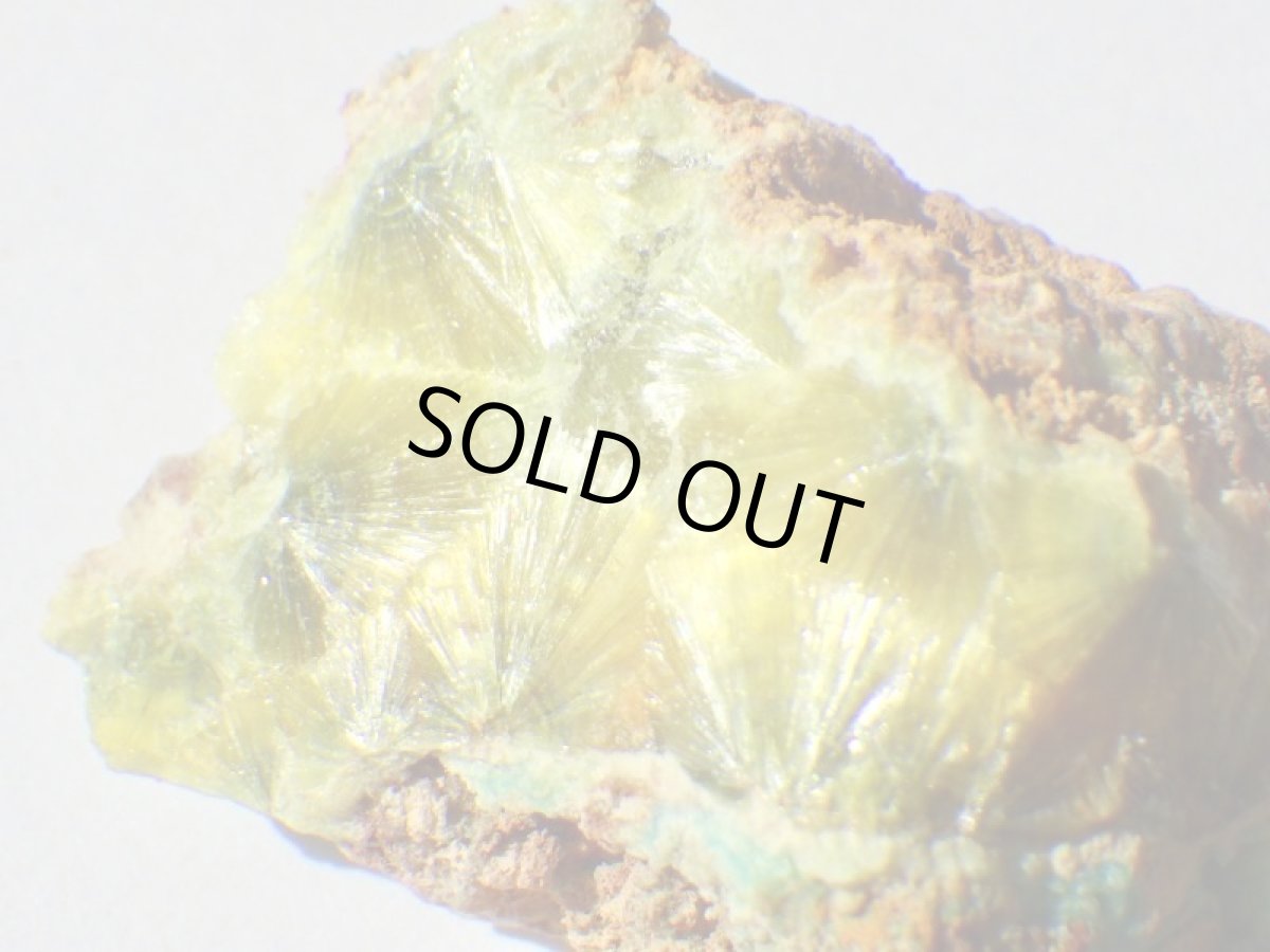 画像2: スペイン産ワーベライト／ターコイズＤ (2)