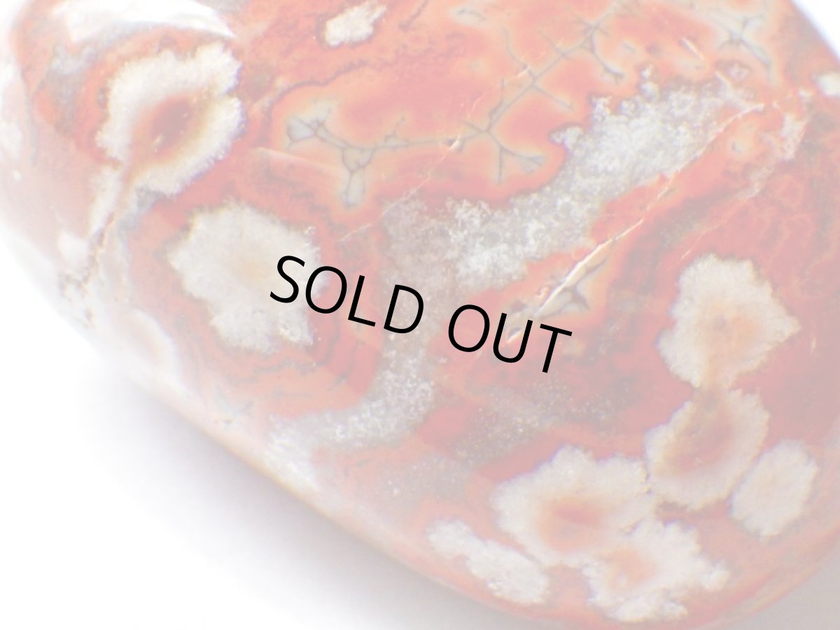 画像7: マダガスカル産ジャスパーアゲート磨きＡ (7)