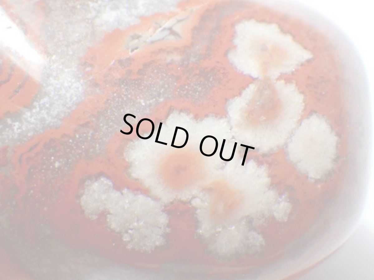 画像2: マダガスカル産ジャスパーアゲート磨きＡ (2)