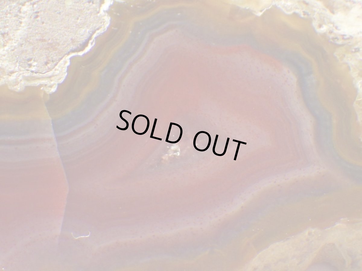 画像4: コンドルアゲートＡ (4)