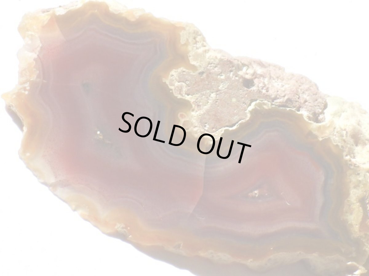 画像3: コンドルアゲートＡ (3)