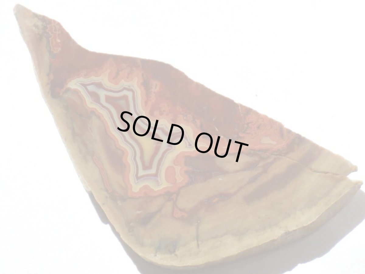 画像2: ティピーアゲートＡ (2)