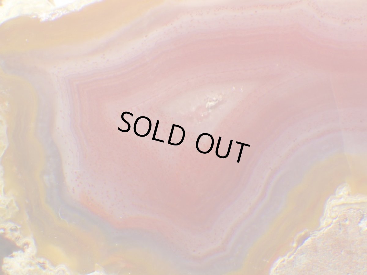 画像1: コンドルアゲートＡ (1)