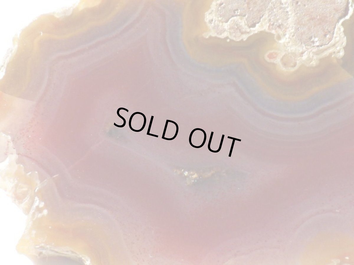 画像5: コンドルアゲートＡ (5)