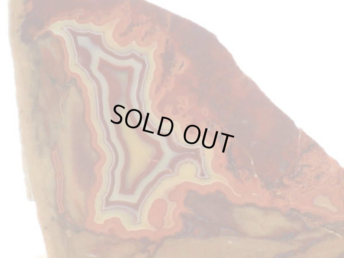 画像3: ティピーアゲートＡ (3)