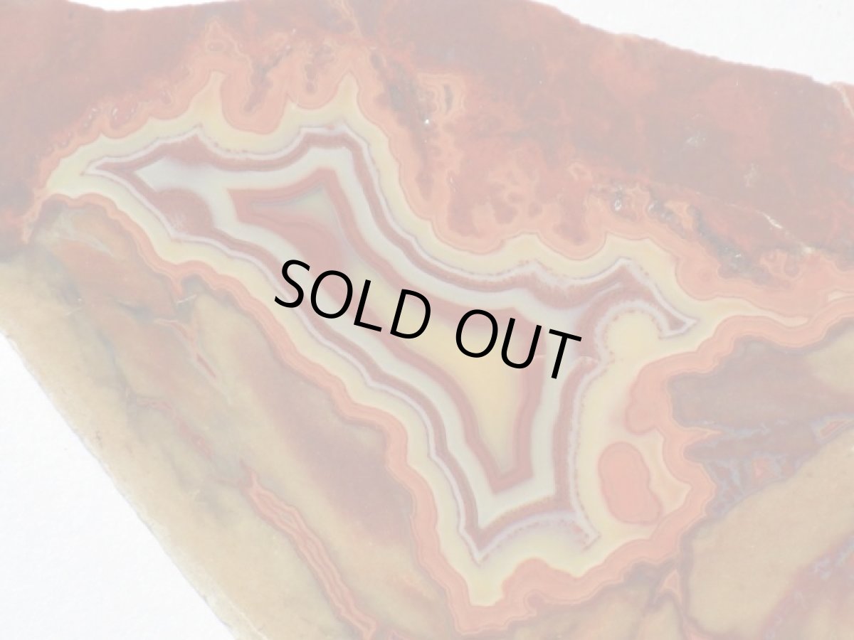 画像1: ティピーアゲートＡ (1)