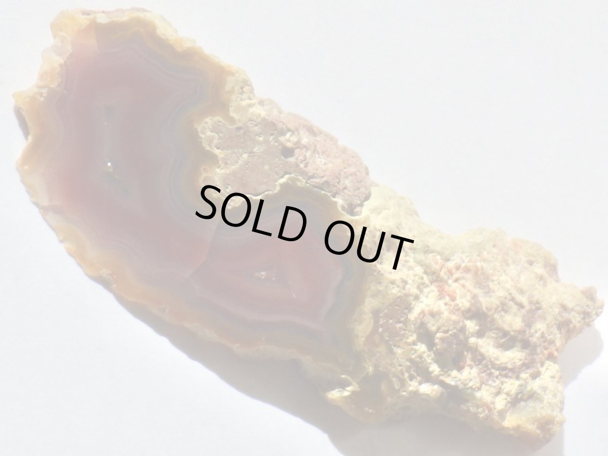 画像2: コンドルアゲートＡ (2)