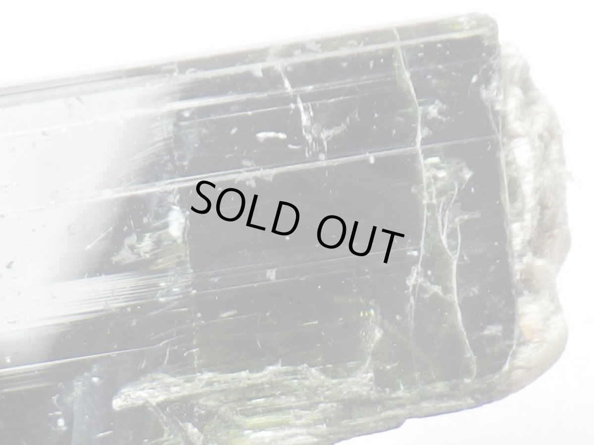 画像3: タンザニア産アクチノライトＡ (3)