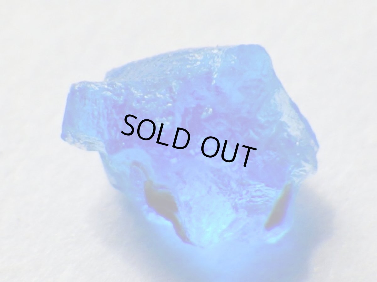 画像1: アウインＣ (1)