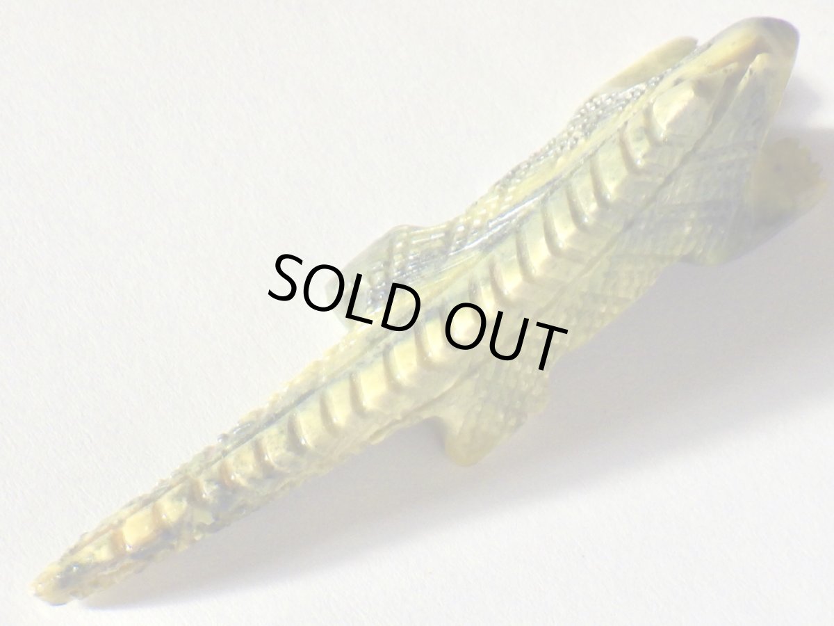 画像5: サーペンティンイグアナＡ (5)