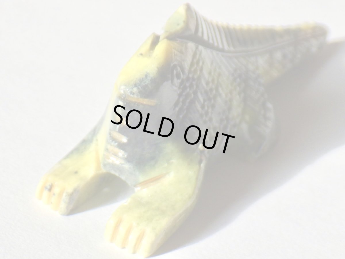 画像2: サーペンティンイグアナＡ (2)