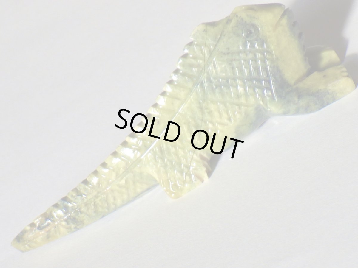 画像4: サーペンティンイグアナＡ (4)