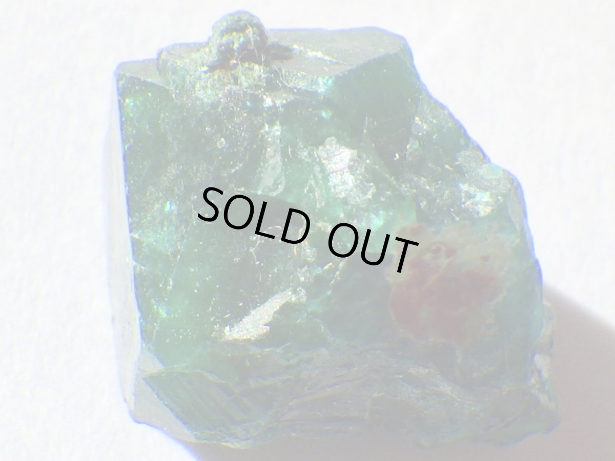 画像3: コンゴ産ダイオプテーズＤ (3)