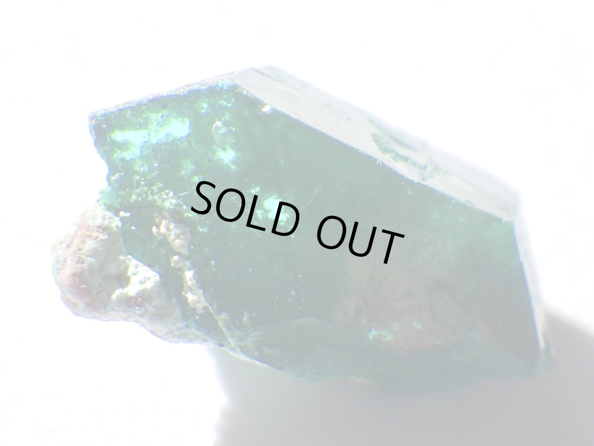 画像4: コンゴ産ダイオプテーズＡ (4)