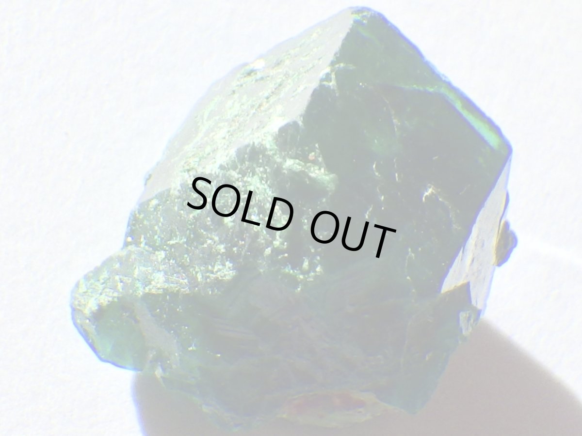 画像5: コンゴ産ダイオプテーズＤ (5)