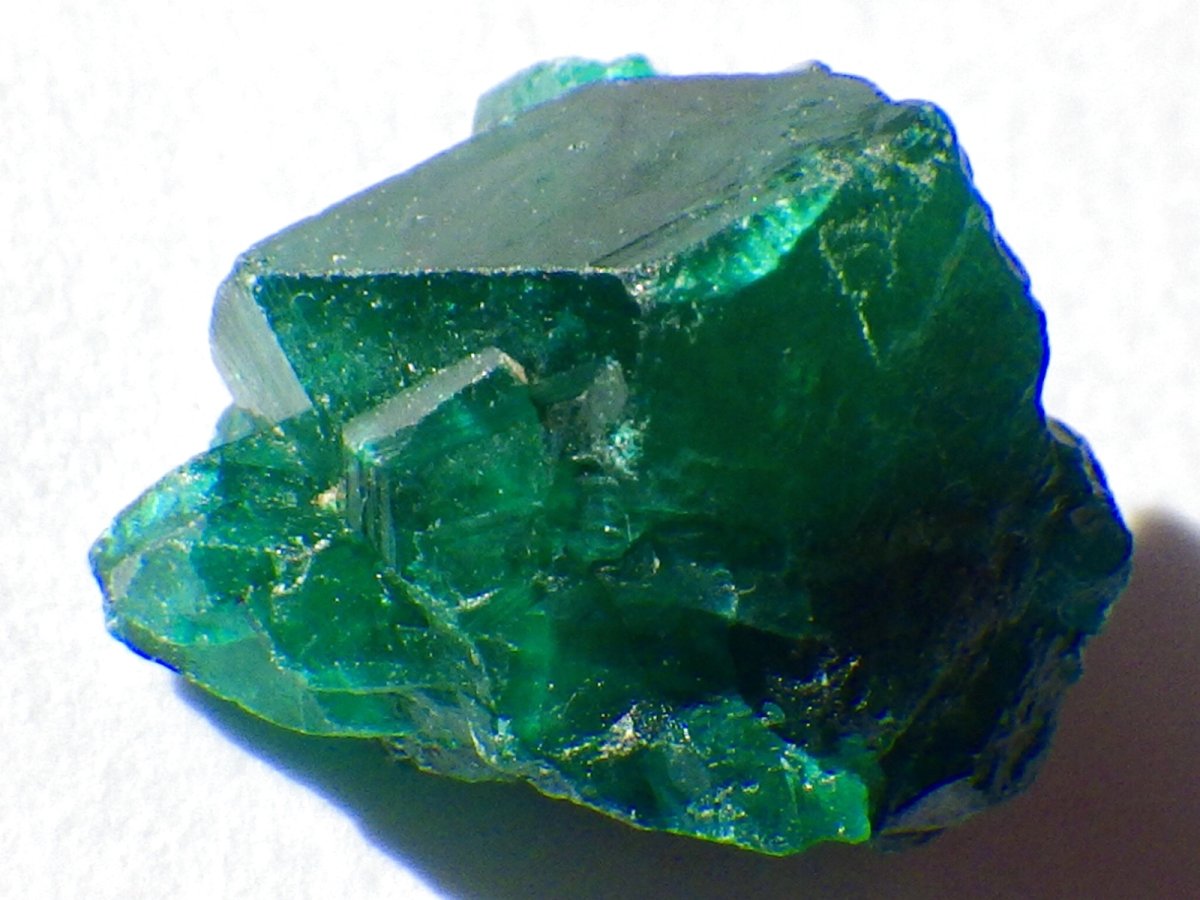 画像5: コンゴ産ダイオプテーズB (5)