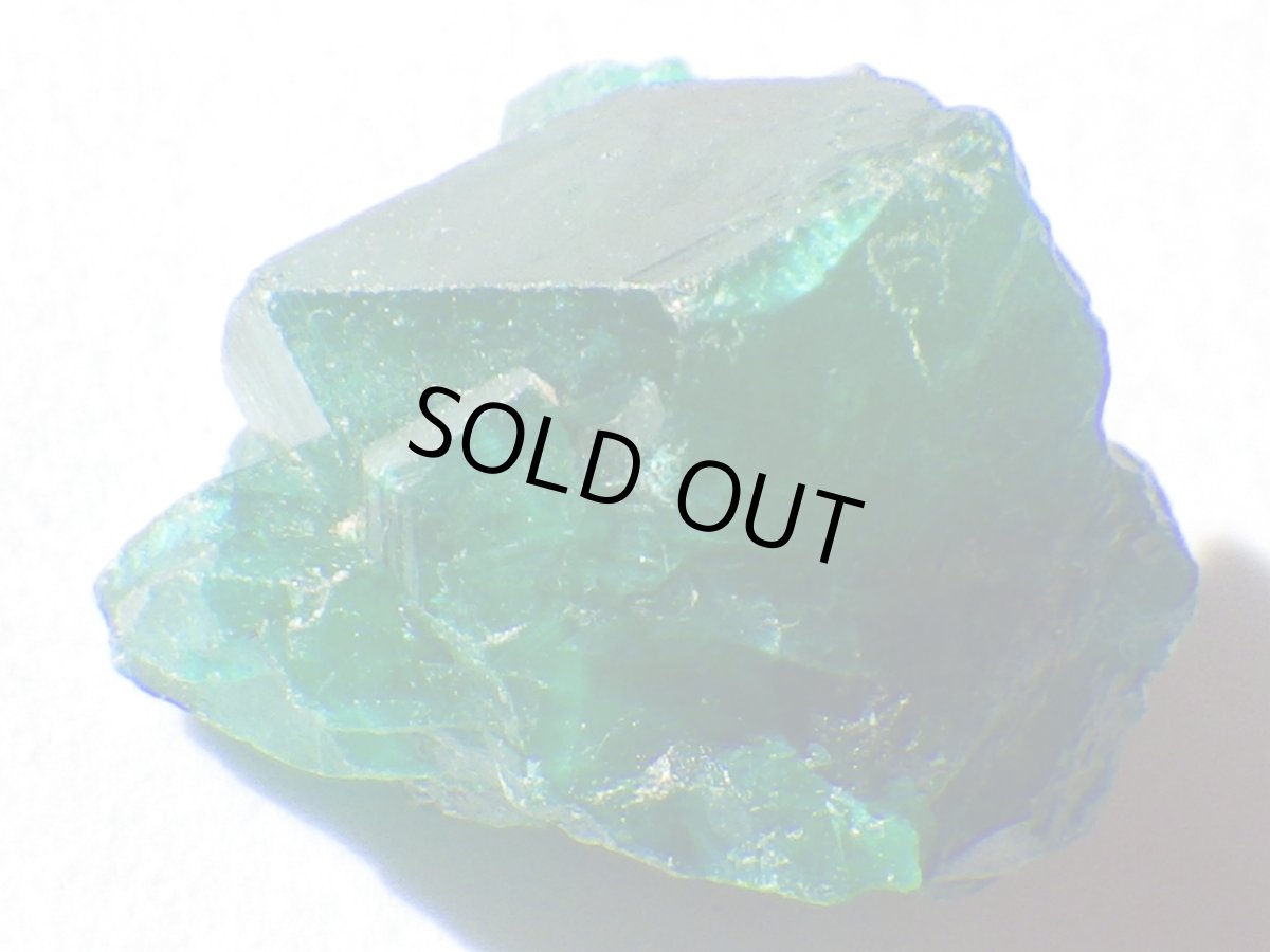 画像5: コンゴ産ダイオプテーズＢ (5)