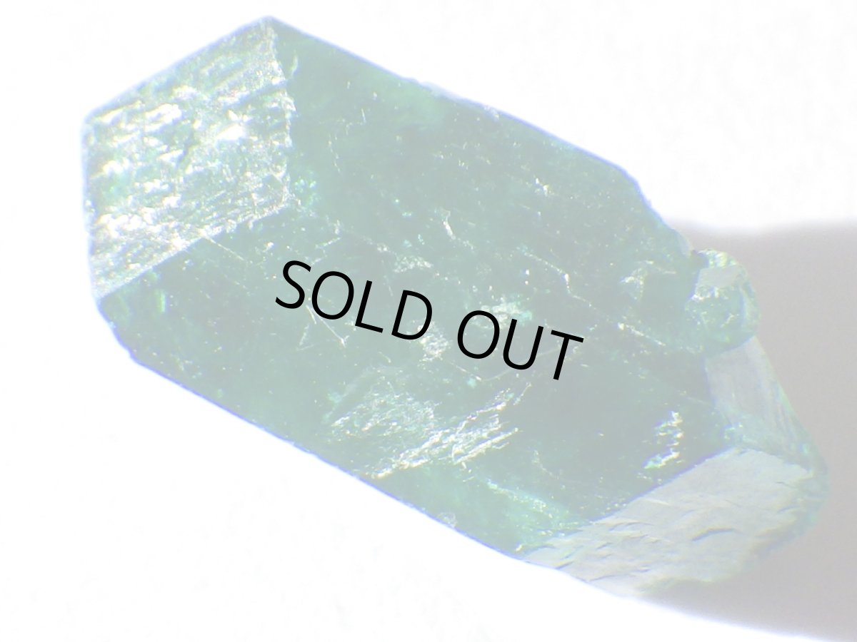 画像6: コンゴ産ダイオプテーズＡ (6)