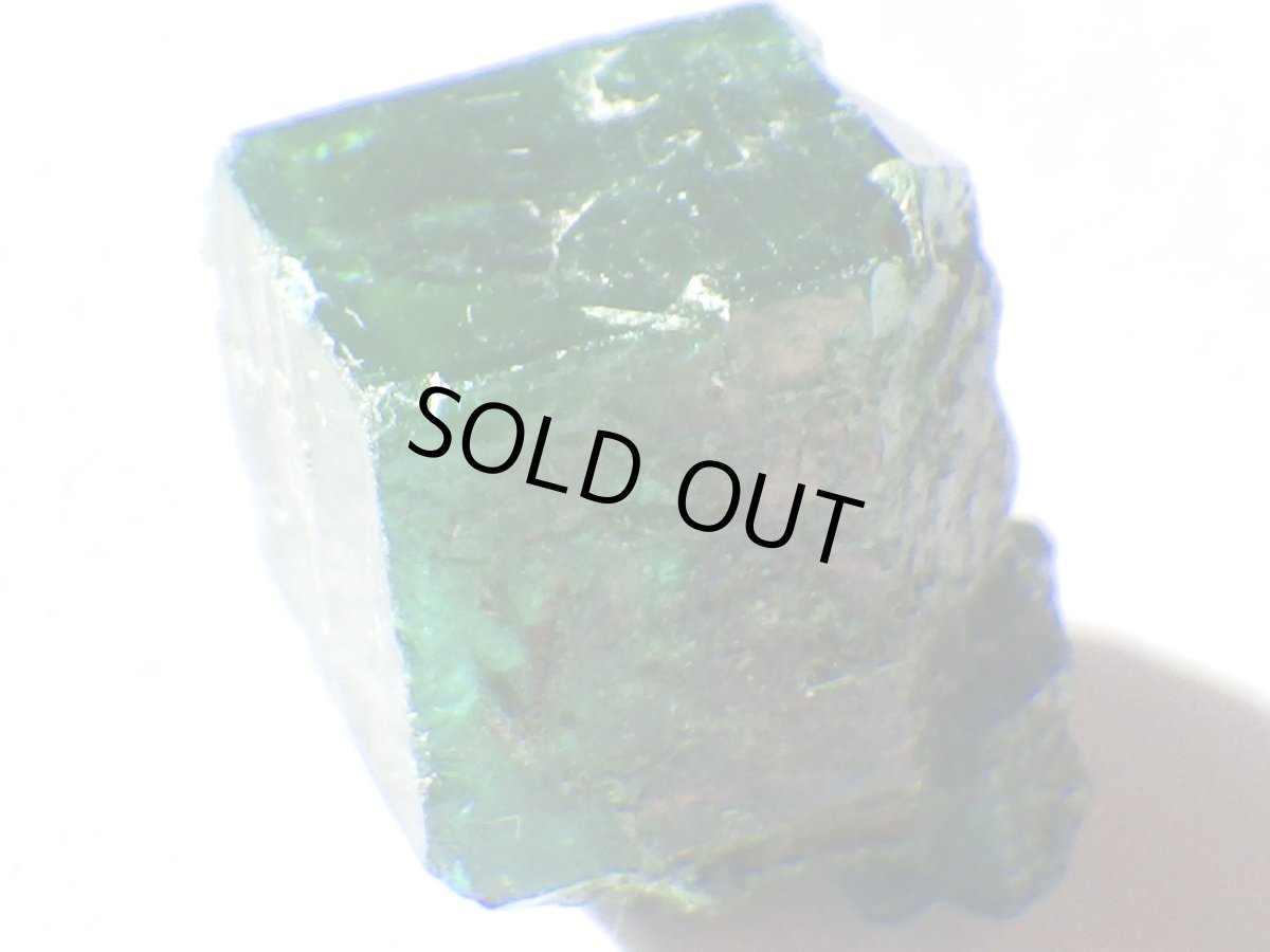 画像6: コンゴ産ダイオプテーズＤ (6)