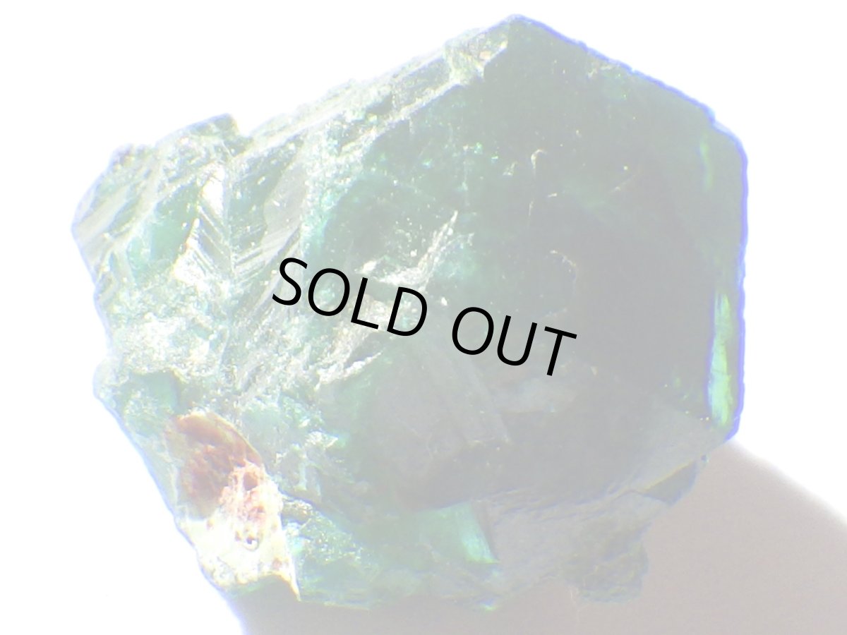 画像7: コンゴ産ダイオプテーズＤ (7)