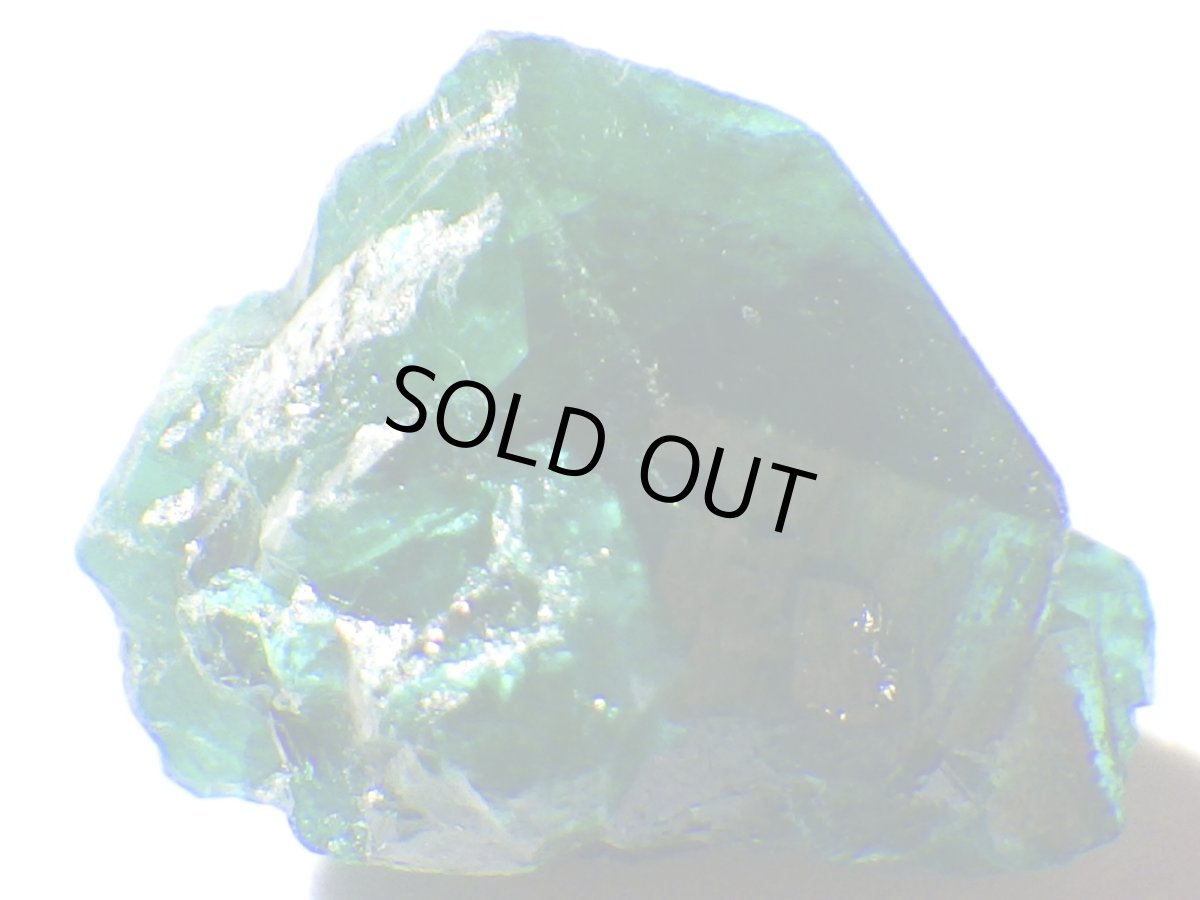 画像3: コンゴ産ダイオプテーズＢ (3)