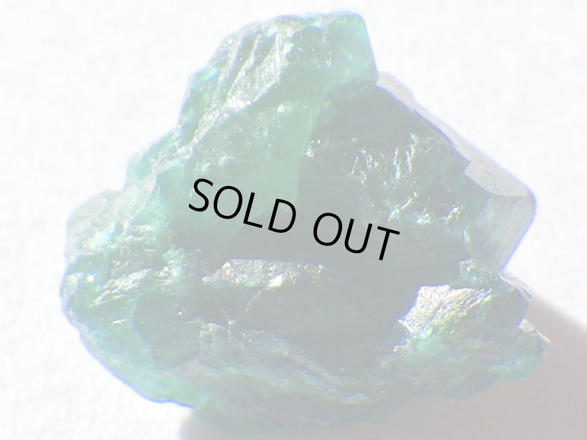 画像4: コンゴ産ダイオプテーズＢ (4)