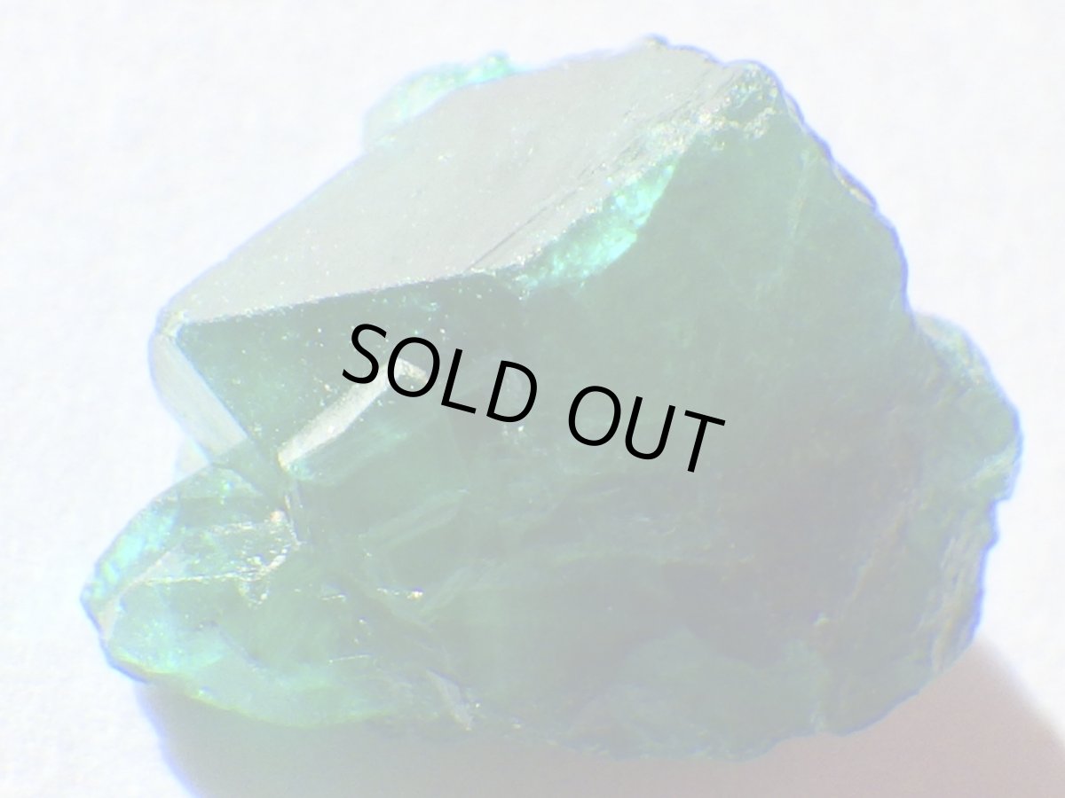 画像2: コンゴ産ダイオプテーズＢ (2)