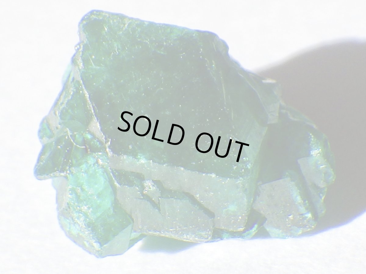 画像1: コンゴ産ダイオプテーズＢ (1)